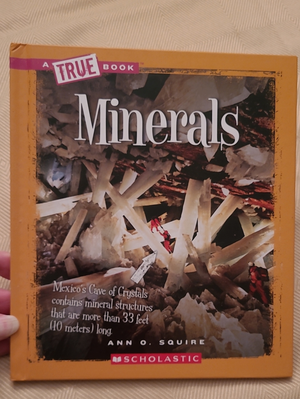 NEW 4 Book Set Rocks And Minerals - Picture 5 of 13